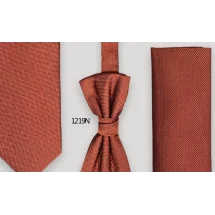 Cette cravate terracotta orange terre battue sublime vos