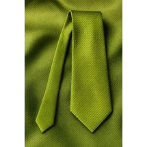 Cravate vert gazon — sur mesure — Costume Privé Paris